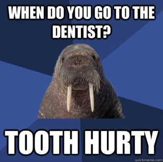 Illustration for article titled When is the best time to go to the dentist?